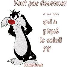 le chat